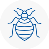 Bed Bug Extermination In Bracknell Forest